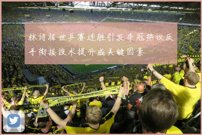 林诗栋世乒赛连胜引发夺冠热议反手衔接技术提升成关键因素