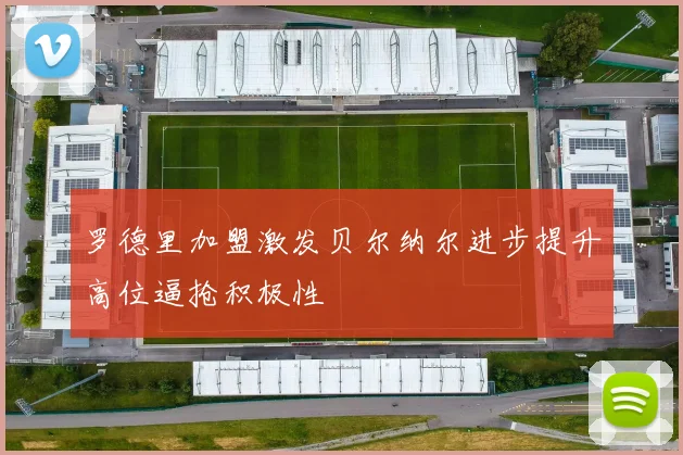 罗德里加盟激发贝尔纳尔进步提升高位逼抢积极性